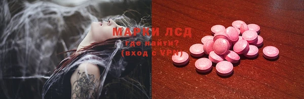 дживик Няндома