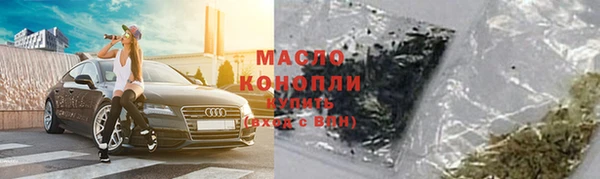 дживик Няндома