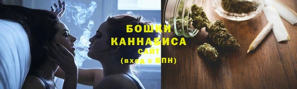 дживик Няндома