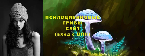 альфа пвп Нязепетровск