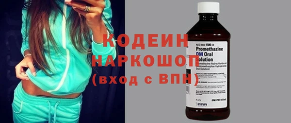 дживик Няндома