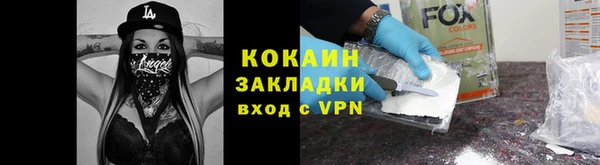 дживик Няндома