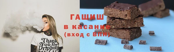 дживик Няндома