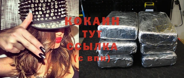 дживик Няндома