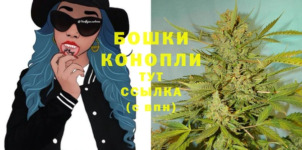 дживик Няндома