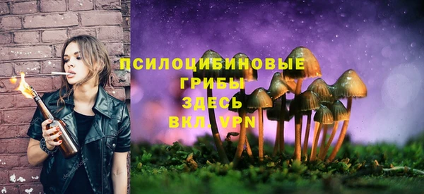 ECSTASY Нягань