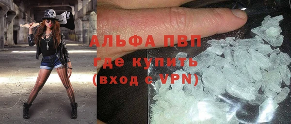 дживик Няндома