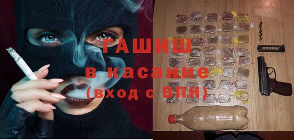 дживик Няндома
