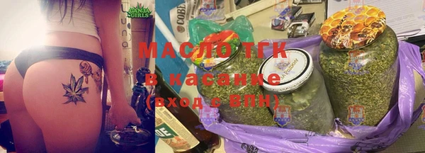 тгк Гусев