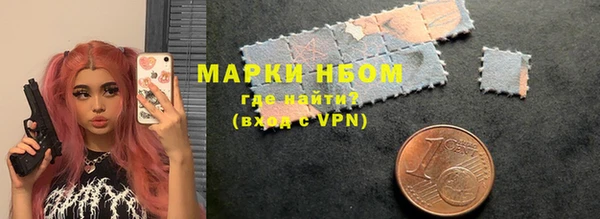 дживик Няндома