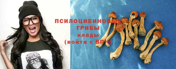 альфа пвп Нязепетровск