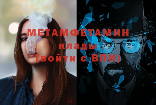 шишки Великий Новгород