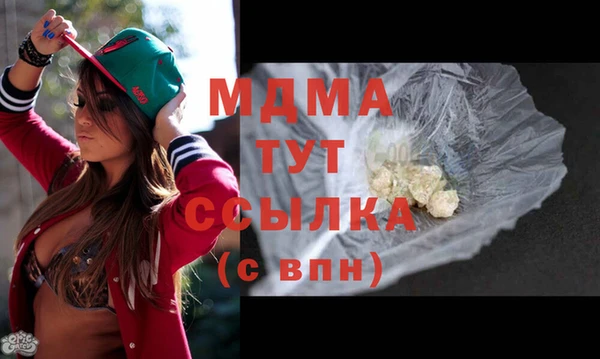 дживик Няндома