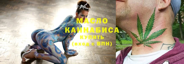 дживик Няндома