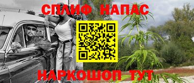 ПСИЛОЦИБИНОВЫЕ ГРИБЫ Заводоуковск