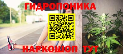 spice Камышлов