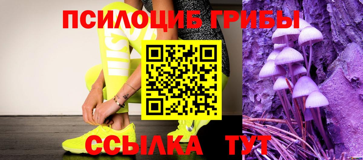 Псилоцибиновые грибы Cubensis Сердобск
